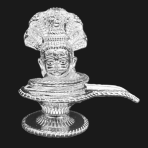 Shivling with Shiva Face | Silver | Multiple Size